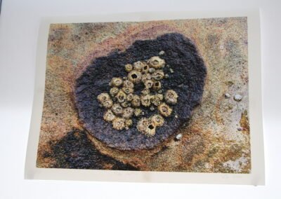 Photographic artwork by AK Leo titled Tide Pool 1, showing textured shoreline forms and natural surface detail.